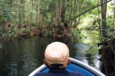 TN Menipo dan Sebangau Diusulkan Jadi Situs Ramsar 