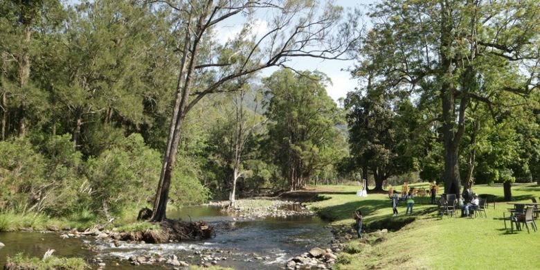 Suasana OReillys Grand Homestead and Vineyard di Gold Coast, Australia.