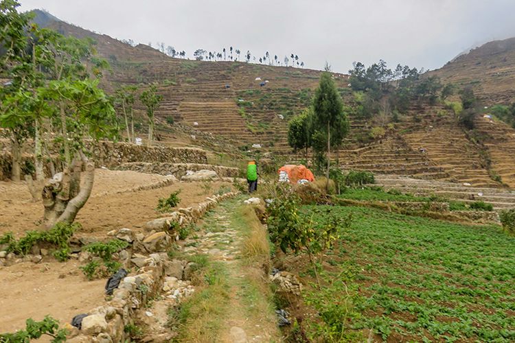 Rute awal pendakian Gunung Pakuwaja yang melewati kawasan perkebunan penduduk.