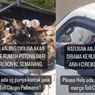 Video Viral Ratusan Anjing Diduga Dibawa ke Rumah Pemotongan Hewan, Ini Kata Animal Hope Shelter