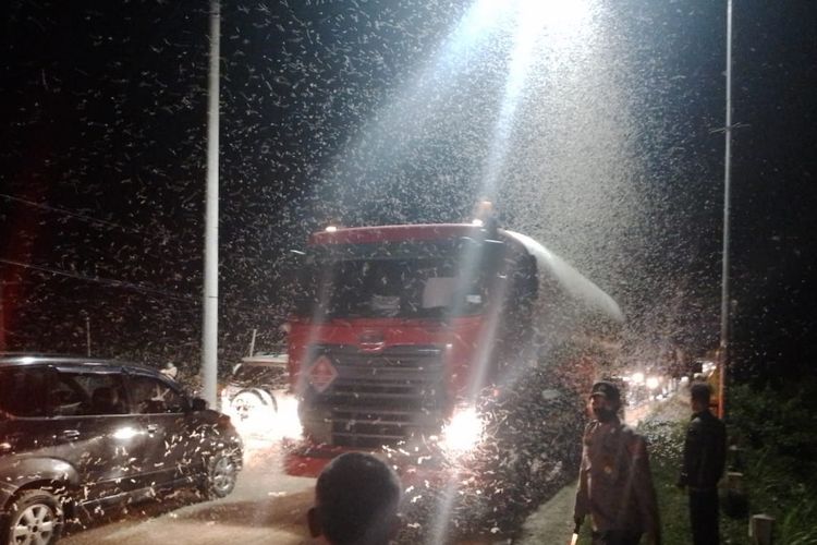 Kawanan laron menyerbu jembatan Soeharto yang berada di perbatasan Rawalo-Kebasen, Kabupaten Banyumas, Jawa Tengah, Senin (23/1/2023) malam.