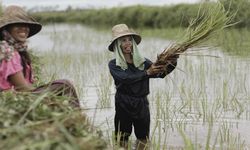 Riau Sambut Gembira Penambahan Alokasi Pupuk Bersubsidi