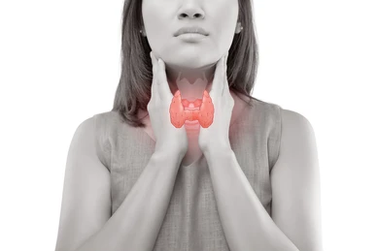 Hipertiroid adalah kondisi yang disebabkan karena tiroid terlalu aktif, dan menghasilkan banyak hormon tiroksin. 