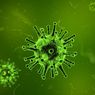 Sifat Virus yang Mirip Makhluk Hidup