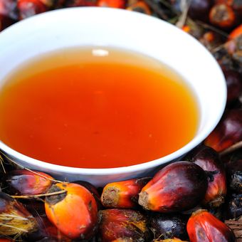 Ilustrasi minyak makan merah atau refined palm oil. 