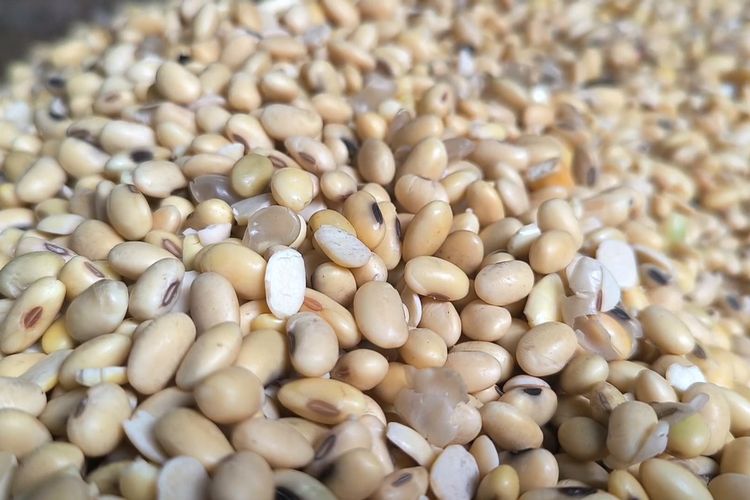 Mitos atau Fakta, Benarkah Konsumsi Kedelai Berbahaya bagi Hormon? Ini Penjelasan Pakar