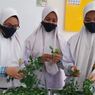 Indonesian Schoolchildren Win Award for Creating Mouthwash with Moringa Leaves