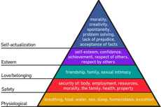 Psyhological Model dalam Teori Perilaku Konsumen