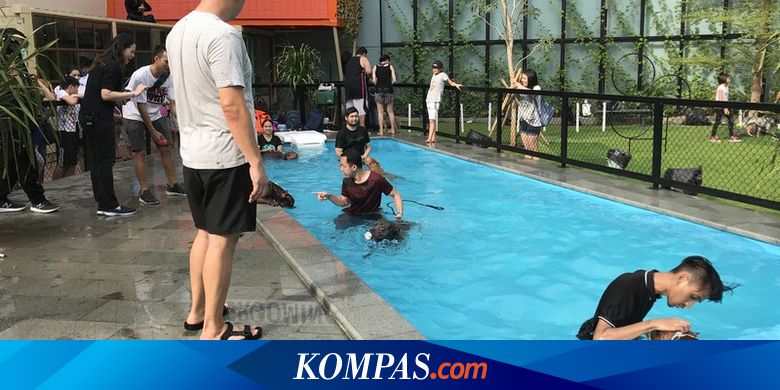Ada Taman Khusus Anjing di Mal Kelapa Gading