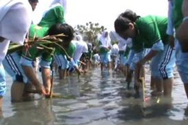 Siswa di Polewali Mandar memperingati Hari Ozon Sedunia dengan cara menggelar aksi tanam mangrove di Pantai Bajo, Kecamatan Binuang, Polewali Mandar, Rabu (16/9/2015).