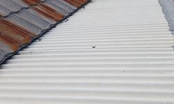 Peringatan Hari K3 dan May Day, Buruh Soroti Potensi Penyakit akibat Asbes