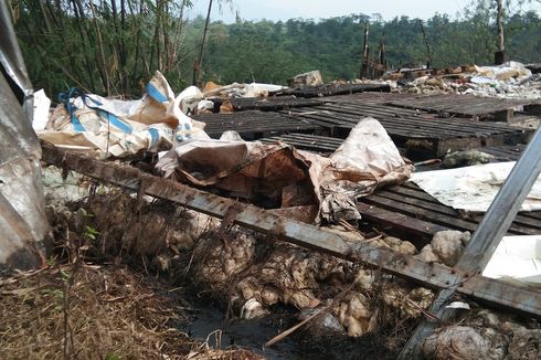 5 Saksi Dumping Limbah B3 di Kawasan Perhutanan Sosial Karawang  Diperiksa