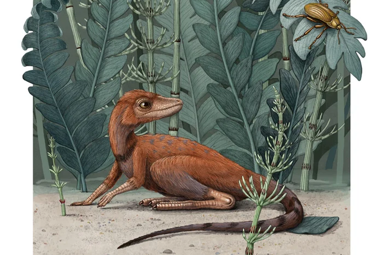 Ilustrasi Kongonaphon kely, dinosaurus terkecil.