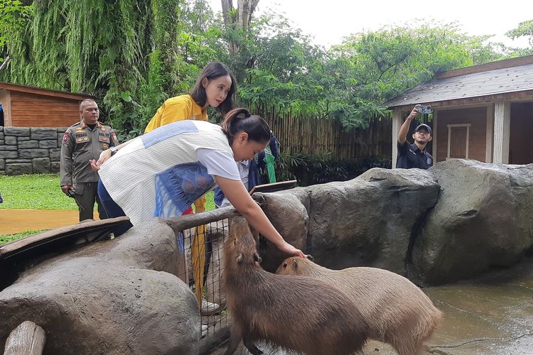 Wamenpar Ni Luh Enik Ermawati meninjau kesiapan dan keselamatan destinasi wisata Puncak Bogor, Jawa Barat, jelang libur Natal 2025 dan Tahun Baru 2026 (Nataru), Sabtu (20/12/2025).