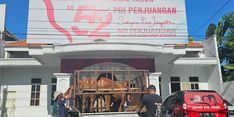 DPD PDI-P Jatim Distribusikan 403 Ekor Sapi, Said Abdullah: Upaya Bantu Pemerintah Tambah Kualitas Gizi Warga Miskin