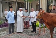 Berbagi Berkah dan Kebahagiaan Idul Adha, PGN Group Bagikan 955 Hewan Kurban