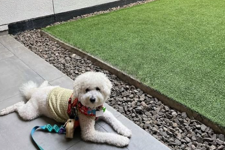 Tangkapan Layar Instagram Kisaku Caffe 