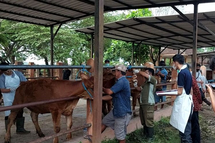 Petugas dari Dinas Peternakan dan Perikanan Kabupaten Blitar memeriksa ternak sapi di Pasar Hewan Wlingi, Kamis (12/5/2022)
