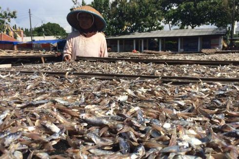 Produsen Ikan Asin Diminta Mulai Tinggalkan Bahan Pengawet