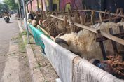 Menabung Kurban dari Uang Kembalian dan Niat yang Dijaga