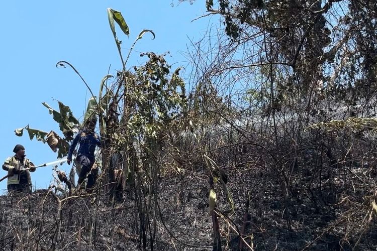 Karhutla Melanda 727 Hektare Lahan di Sulbar, Polman Paling Parah