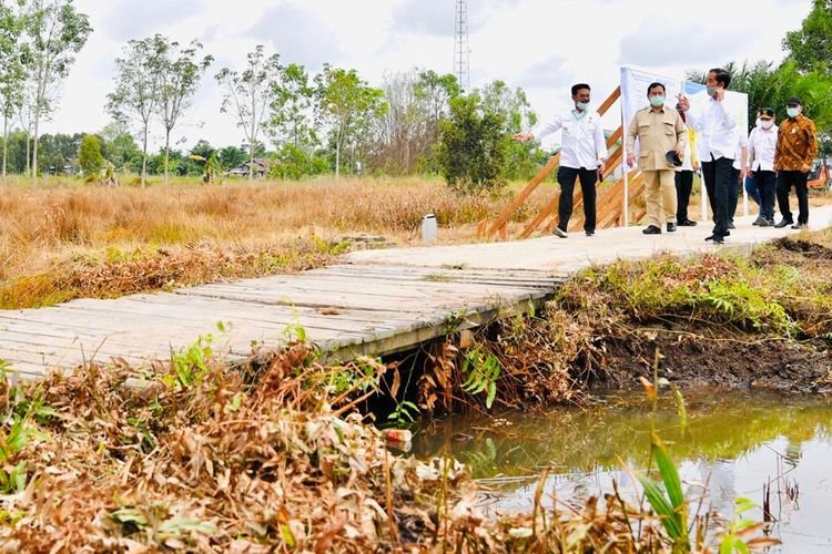 Presiden Joko Widodo meninjau lokasi pengembangan food estate atau lumbung pangan nasional dalam kunjungan kerja ke Provinsi Kalimantan Tengah, Kamis (9/7/2020).  Lokasi yang pertama ditinjau untuk menjadi lumbung pangan baru di luar Pulau Jawa tersebut terletak di Desa Bentuk Jaya, Kecamatan Dadahup, Kabupaten Kapuas.