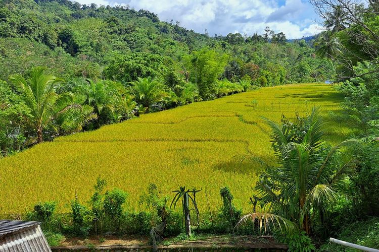 Desa dalam Peta Pariwisata