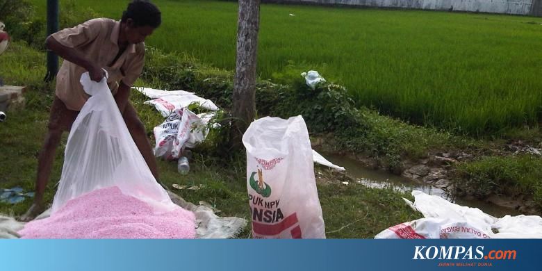 Ini Ciri-ciri Pupuk Palsu yang Beredar di Jawa Tengah - Kompas.com - KOMPAS.com