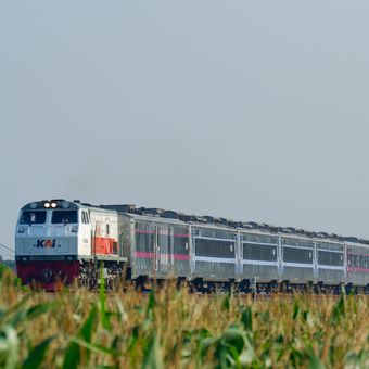 KAI menyiapkan 35 trainset Stainless Steel New Generation produksi INKA untuk memperkuat layanan Angkutan Natal 2025 dan Tahun Baru 2026. Penambahan sarana ini dilakukan guna mengantisipasi lonjakan mobilitas masyarakat pada akhir tahun.