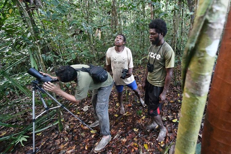 Pemandu pengamatan burung Charles Roring (kiri) dan pekerjanya, saat mencari bird of paradise atau yang dikenal lokal sebagai burung cenderawasih, di Desa Malagufuk, Sorong, Papua, Rabu (23/8/2017). Papua adalah rumah bagi sepertiga hutan hujan yang tersisa di Indonesia, namun perburuan dan penggundulan hutan yang merajalela telah menghancurkan populasi burung di banyak hutan di Papua.