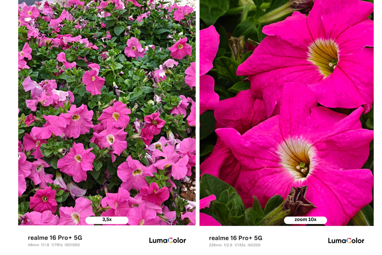 Potret bunga dengan mode 3,5x zoom dan mode 10x zoom