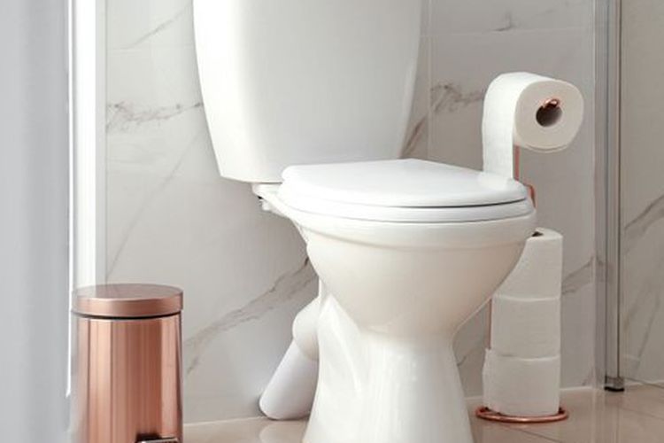 Ilustrasi kloset duduk.