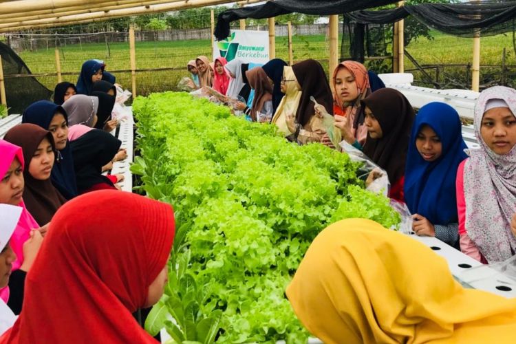 Kunjungan mahasiswa untuk belajar berkebun di Cahaya Hydrofarm Banyuwangi, Jawa Timur.