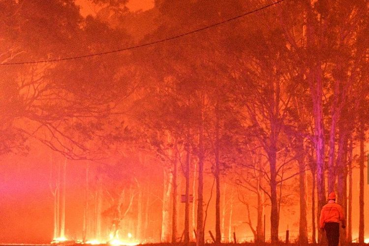 Ribuan wisatawan dan penduduk setempat terpaksa mengungsi ke pantai di Australia tenggara yang dilanda kebakaran