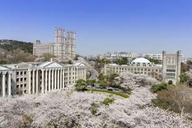 Kyung Hee University, Seoul, Korea.