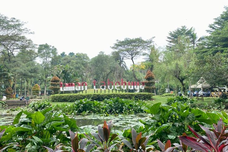 Taman Tabebuya di Jagakarsa, Jakarta Selatan. 