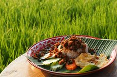 7 Tempat Makan Dekat Sawah di Yogyakarta, Pemandangan Alam Asri