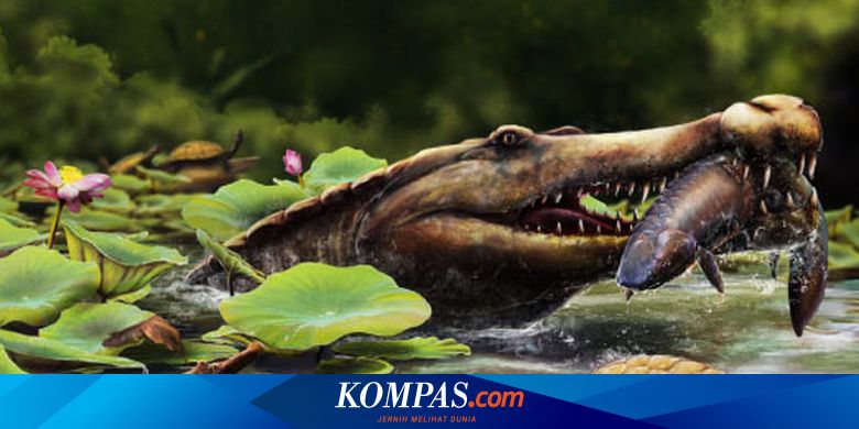80 Million Year Old Crocodile Fossil Found in Egypt