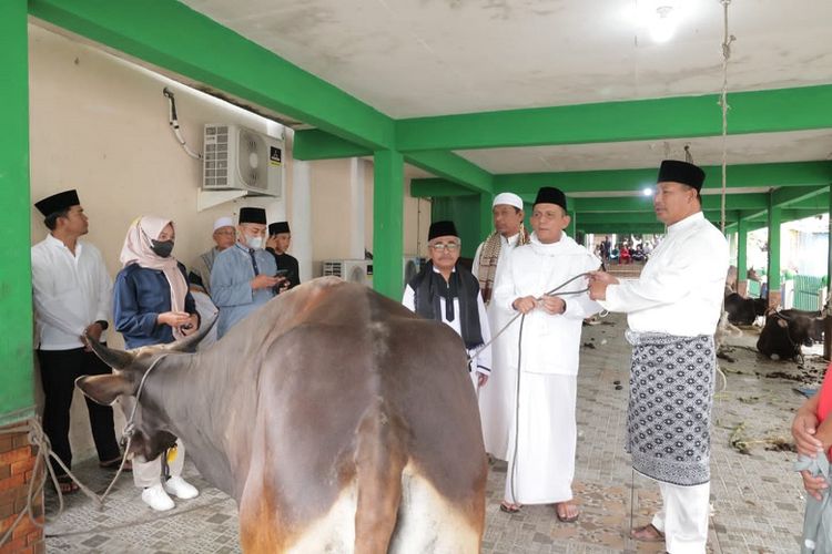 Selain sapi kurban dari Jokowi, masyarakat di Kabupaten Anambas juga mendapat empat ekor sapi kurban dari Pemerintah Provinsi Kepri. 