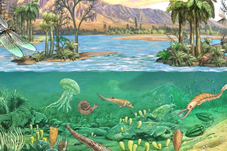 Ilustrasi zaman paleozoikum
