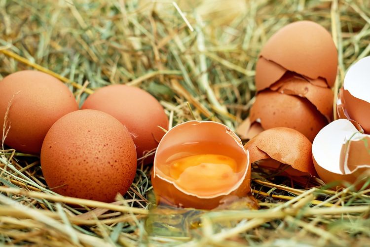 Telur merupakan makanan tinggi protein.