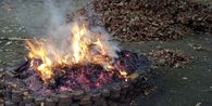 Kronologi Ketua RT di Tangsel Tegur Warga Bakar Sampah Berujung Jadi Tersangka
