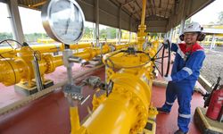 Anak Usaha PGN, PT TGI Kelola 1.000 Km Jaringan Pipa Gas untuk Sumatera hingga Singapura