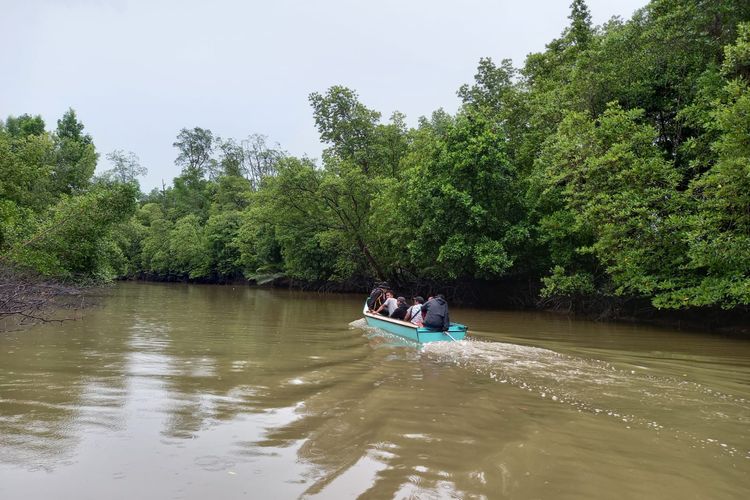 Tumbuhan jenis bakau, api-api, nipah yang mendominasi kawasan lebih banyak terlihat di tepi sungai, sedang di bagian tengah daratan pulau rata-rata kosong, berubah fungsi jadi tambak ikan dan udang.