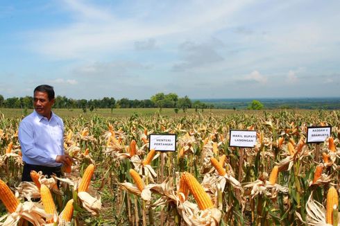 DPR: Gebrakan Mentan Mampu Majukan Sektor Pertanian