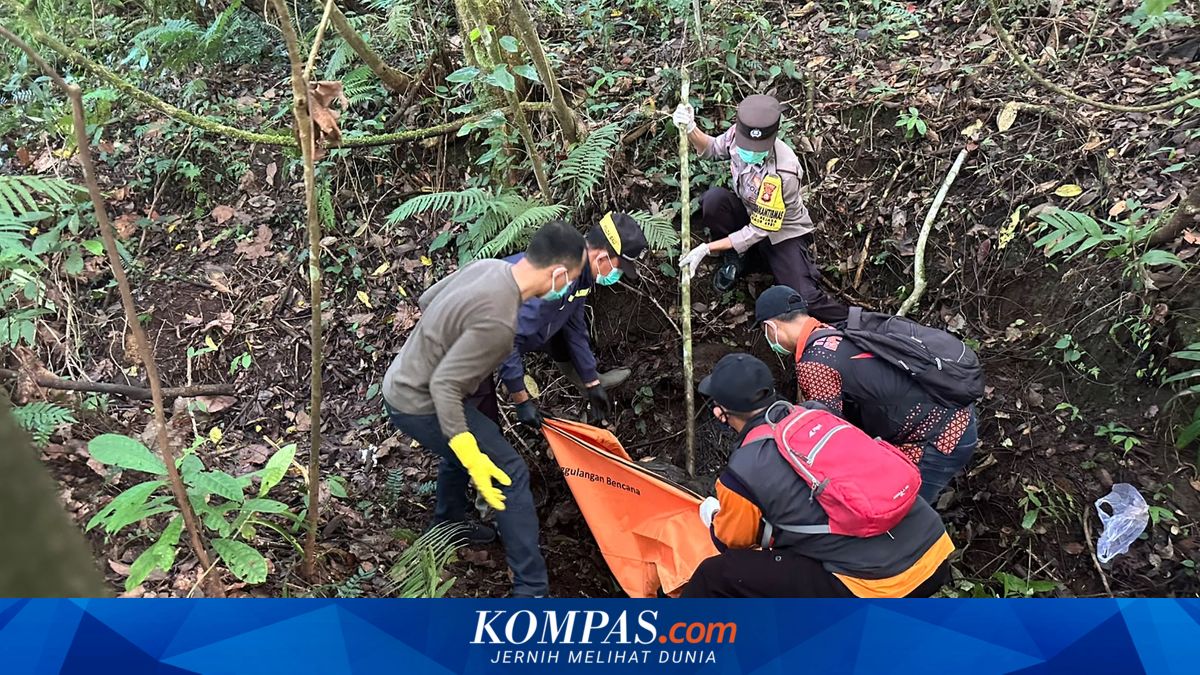 Mayat Pria Ditemukan di Hutan Jatiluwih Tabanan, Polisi Temukan Tas dan iPhone di Lokasi