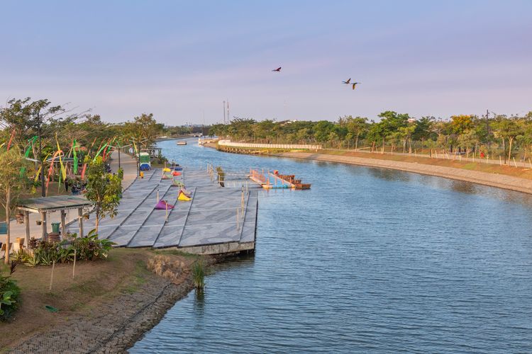 Bird Sanctuary PIK 2, Rumah Baru untuk Burung-burung Pesisir Jakarta