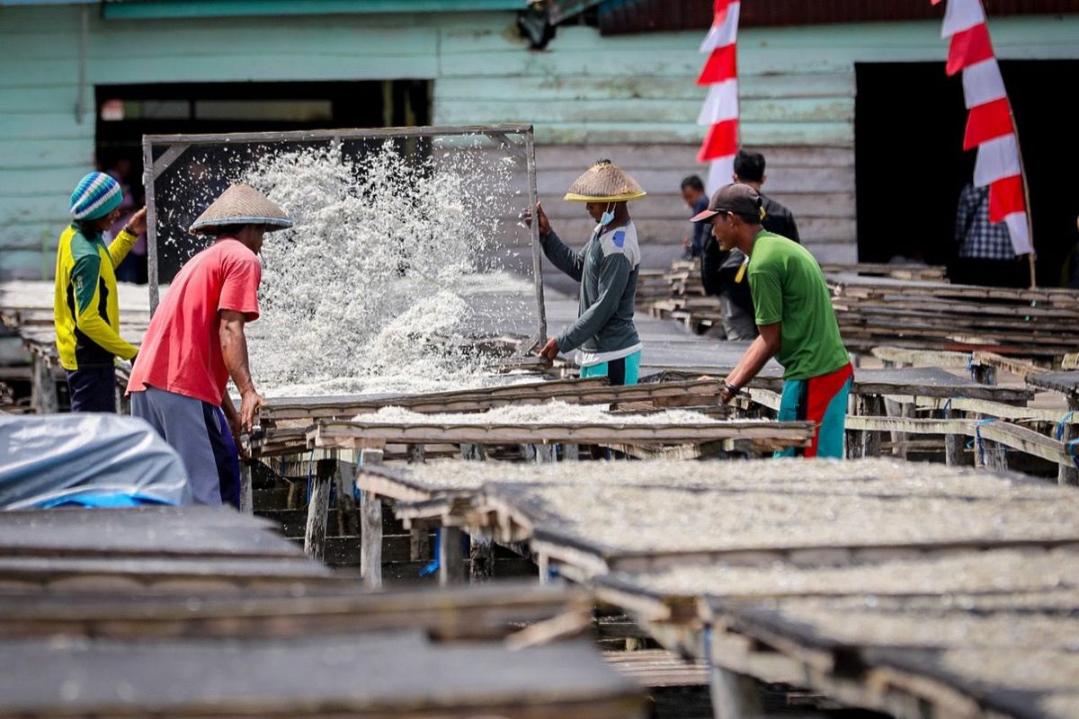 Masyarakat mengolah hasil laut di Kabupaten Buton Tengah, Sulawesi Tenggara.