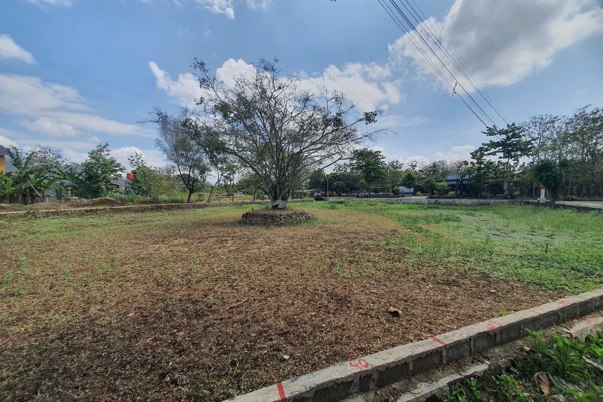 Telaga Budegan, Wonosari, yang mengering, Jumat (12/9/2025)