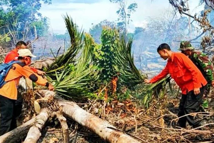 Petugas TNI-Polri dan BPBD memadamkan api karhutla menggunakan daun dan kayu di Desa Sungai Salak, Kecamatan Rambah Samo, Kabupaten Rokan Hulu, Riau, Selasa (14/6/2022).
